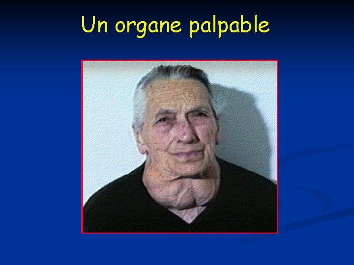 Un organe palpable 