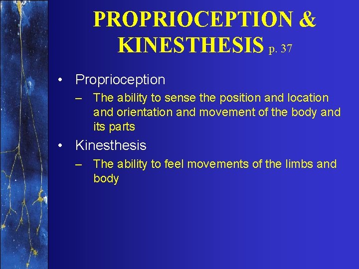 PROPRIOCEPTION & KINESTHESIS p. 37 • Proprioception – The ability to sense the position