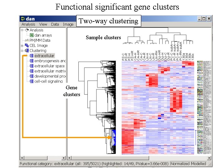 Functional significant gene clusters Two-way clustering Sample clusters Gene clusters 