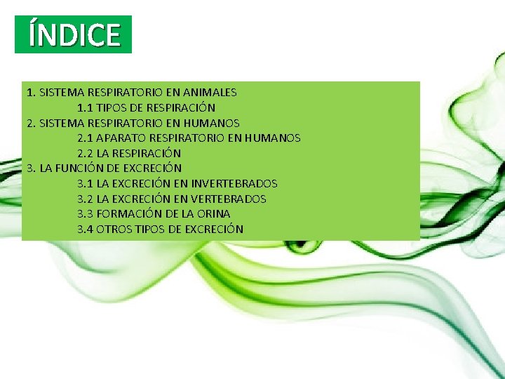 ÍNDICE 1. SISTEMA RESPIRATORIO EN ANIMALES 1. 1 TIPOS DE RESPIRACIÓN 2. SISTEMA RESPIRATORIO