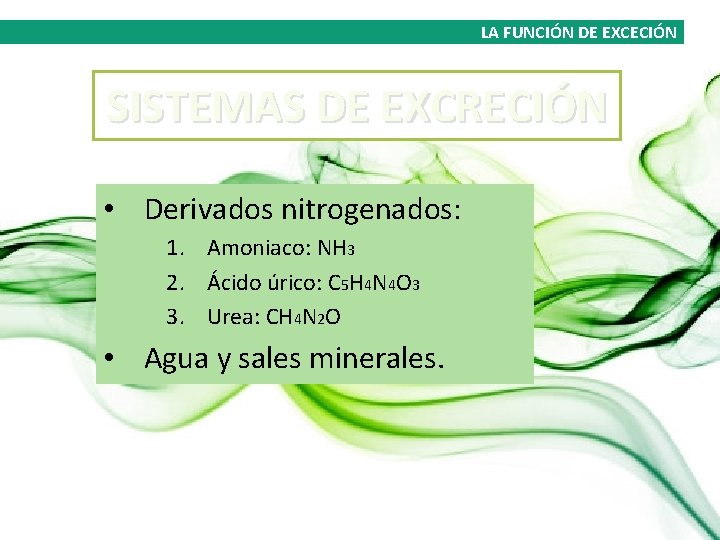 LA FUNCIÓN DE EXCECIÓN SISTEMAS DE EXCRECIÓN • Derivados nitrogenados: 1. Amoniaco: NH 3