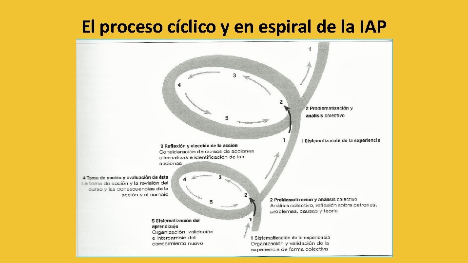 El proceso cíclico y en espiral de la IAP 
