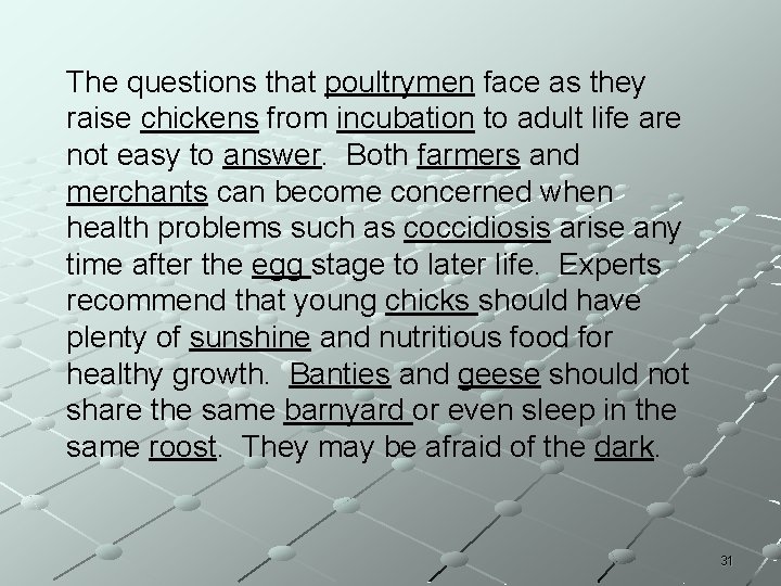 The questions that poultrymen face as they raise chickens from incubation to adult life The questions that poultrymen face as they raise chickens from incubation to adult life