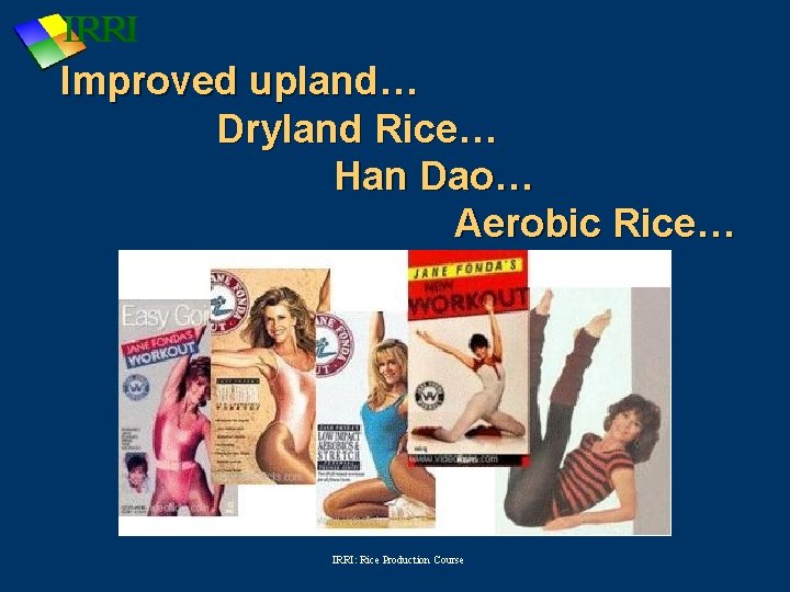 Improved upland… Dryland Rice… Han Dao… Aerobic Rice… IRRI: Rice Production Course 