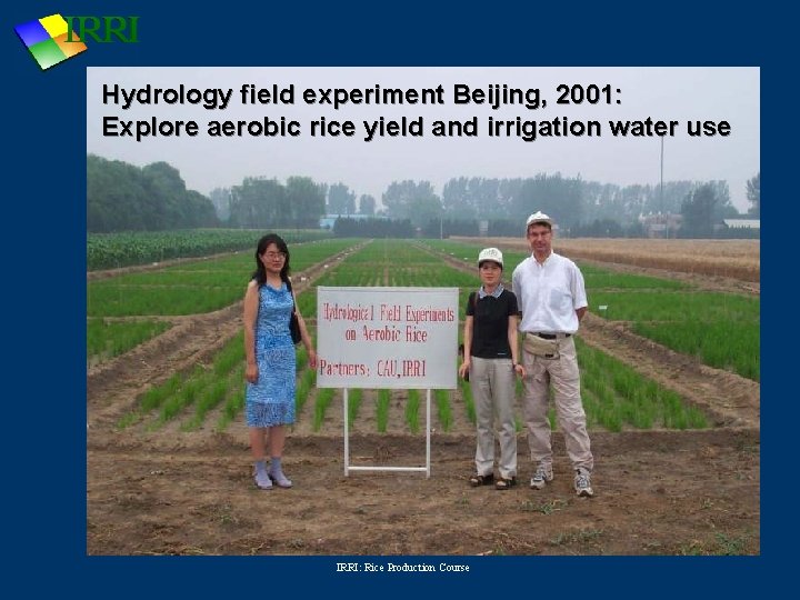 Hydrology field experiment Beijing, 2001: Explore aerobic rice yield and irrigation water use IRRI:
