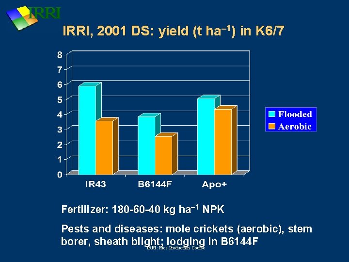 IRRI, 2001 DS: yield (t ha-1) in K 6/7 Fertilizer: 180 -60 -40 kg