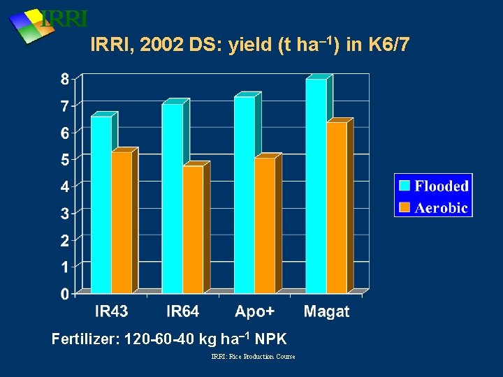 IRRI, 2002 DS: yield (t ha-1) in K 6/7 Fertilizer: 120 -60 -40 kg