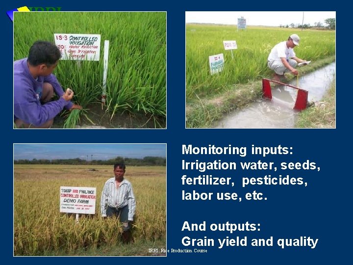 Monitoring inputs: Irrigation water, seeds, fertilizer, pesticides, labor use, etc. And outputs: Grain yield