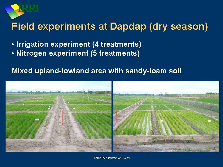 Field experiments at Dapdap (dry season) • Irrigation experiment (4 treatments) • Nitrogen experiment
