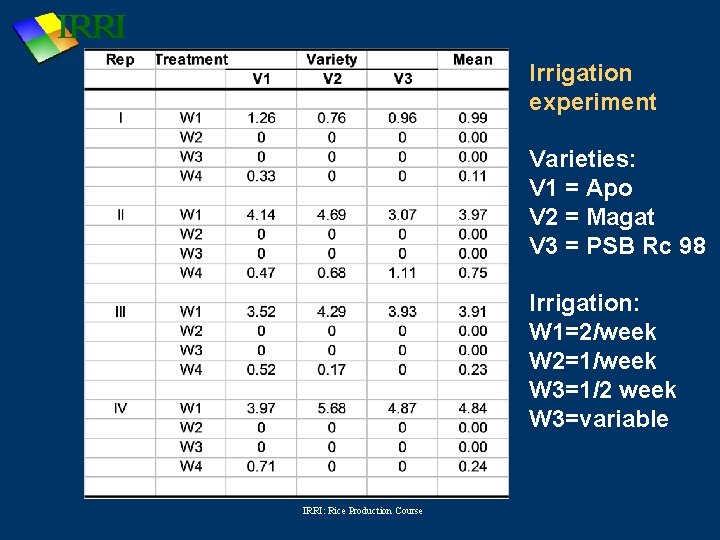 Irrigation experiment Varieties: V 1 = Apo V 2 = Magat V 3 =
