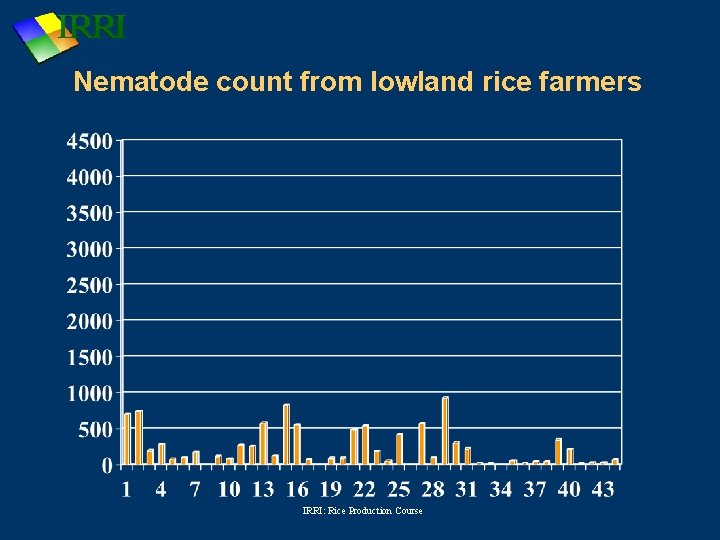 Nematode count from lowland rice farmers IRRI: Rice Production Course 