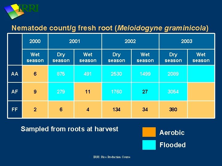 Nematode count/g fresh root (Meloidogyne graminicola) 2000 2001 2002 2003 Wet season Dry season