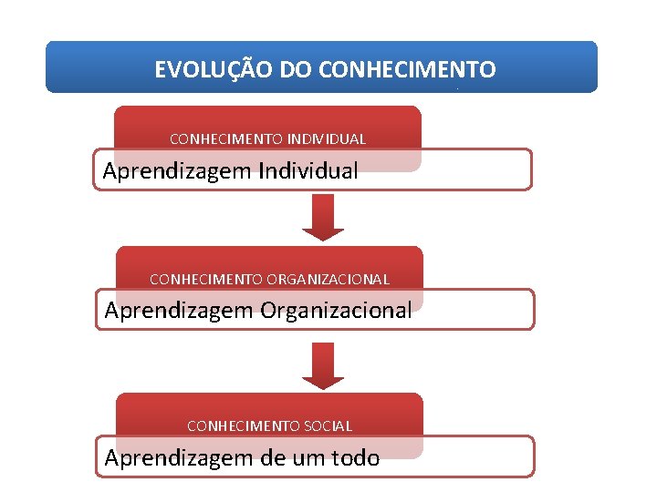 EVOLUÇÃO DO CONHECIMENTO INDIVIDUAL Aprendizagem Individual CONHECIMENTO ORGANIZACIONAL Aprendizagem Organizacional CONHECIMENTO SOCIAL Aprendizagem de