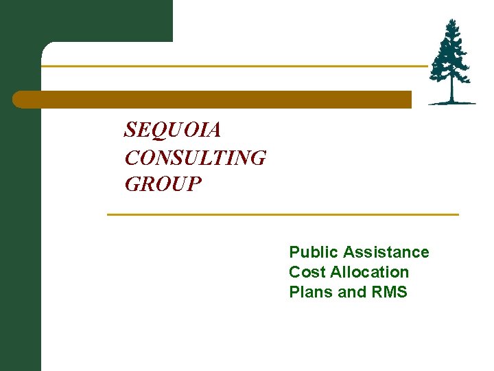 SEQUOIA CONSULTING GROUP Public Assistance Cost Allocation Plans and RMS 