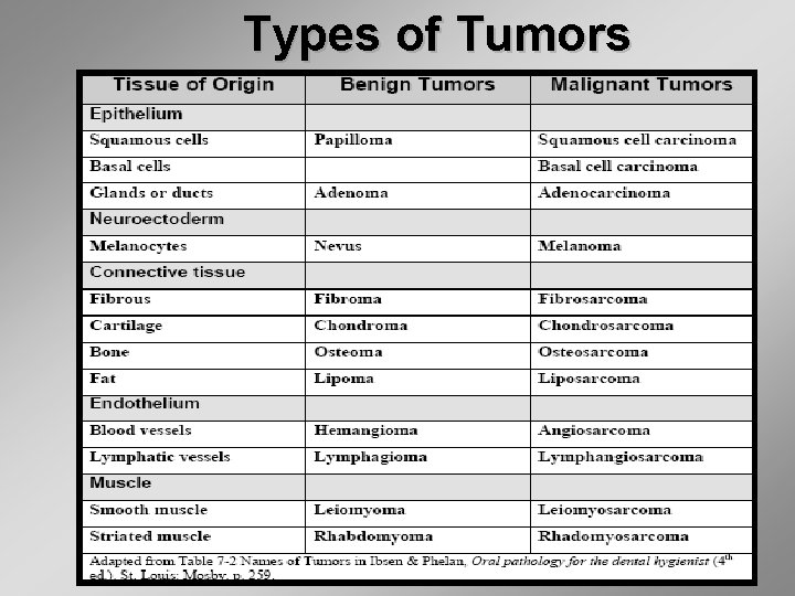 Types of Tumors 