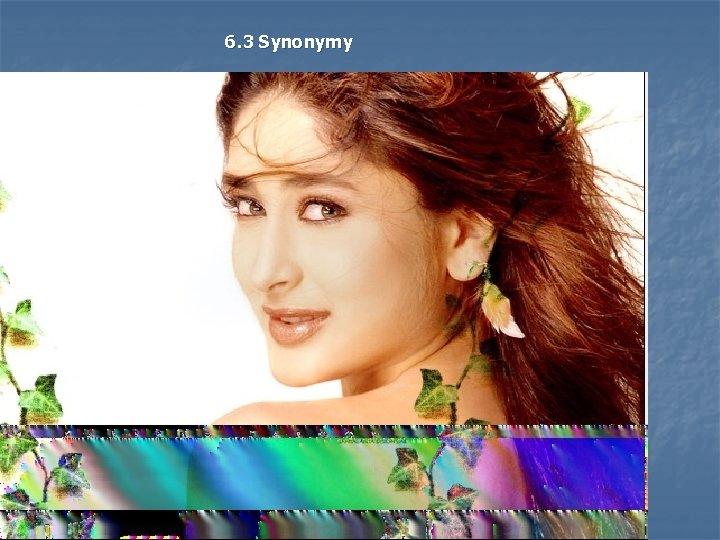 6. 3 Synonymy 