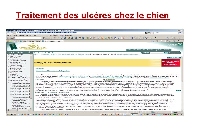 Traitement des ulcères chez le chien 