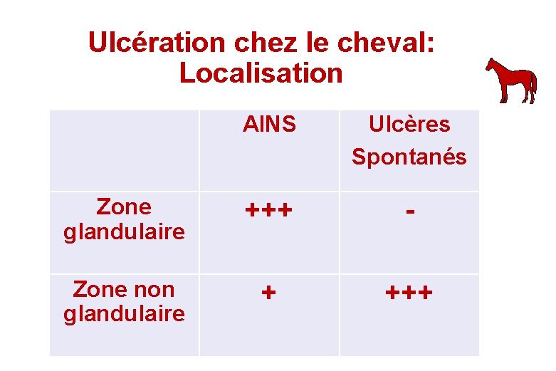 Ulcération chez le cheval: Localisation AINS Ulcères Spontanés Zone glandulaire +++ - Zone non