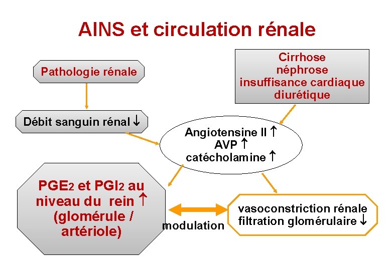 AINS et circulation rénale Cirrhose néphrose insuffisance cardiaque diurétique Pathologie rénale Débit sanguin rénal