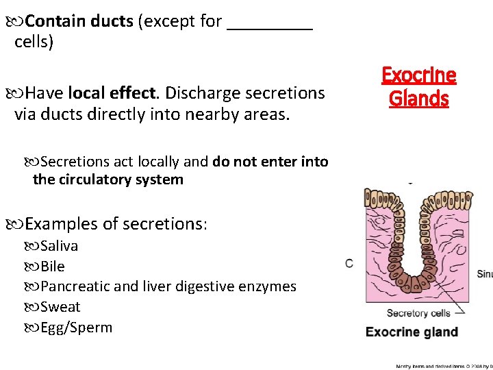  Contain ducts (except for _____ cells) Have local effect. Discharge secretions via ducts