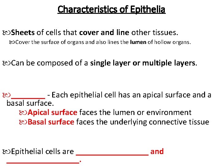 Characteristics of Epithelia Sheets of cells that cover and line other tissues. Cover the