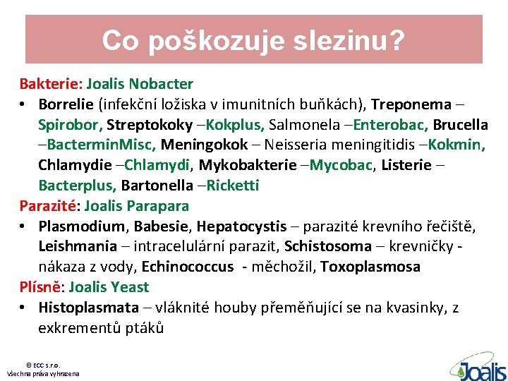 Co poškozuje slezinu? Bakterie: Joalis Nobacter • Borrelie (infekční ložiska v imunitních buňkách), Treponema