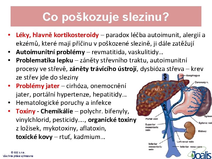 Co poškozuje slezinu? • Léky, hlavně kortikosteroidy – paradox léčba autoimunit, alergií a ekzémů,