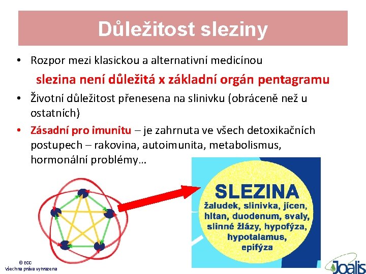 Důležitost sleziny • Rozpor mezi klasickou a alternativní medicínou slezina není důležitá x základní