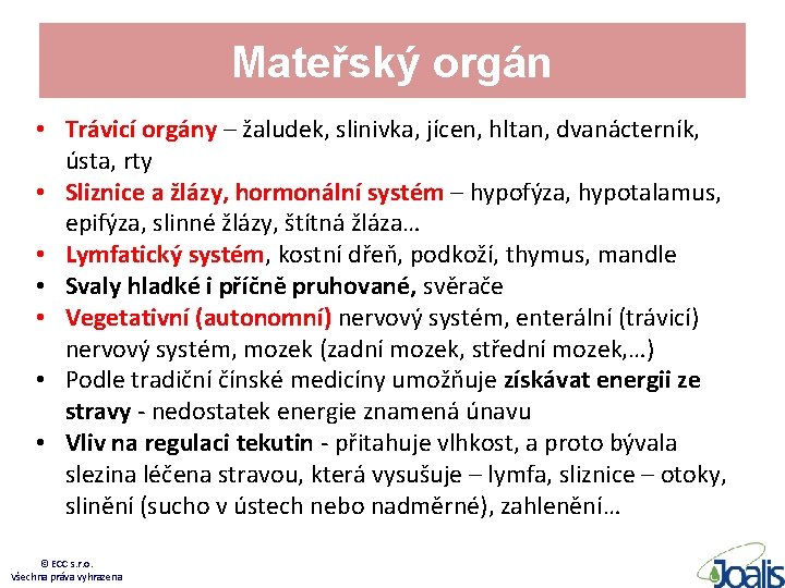 Mateřský orgán • Trávicí orgány – žaludek, slinivka, jícen, hltan, dvanácterník, ústa, rty •