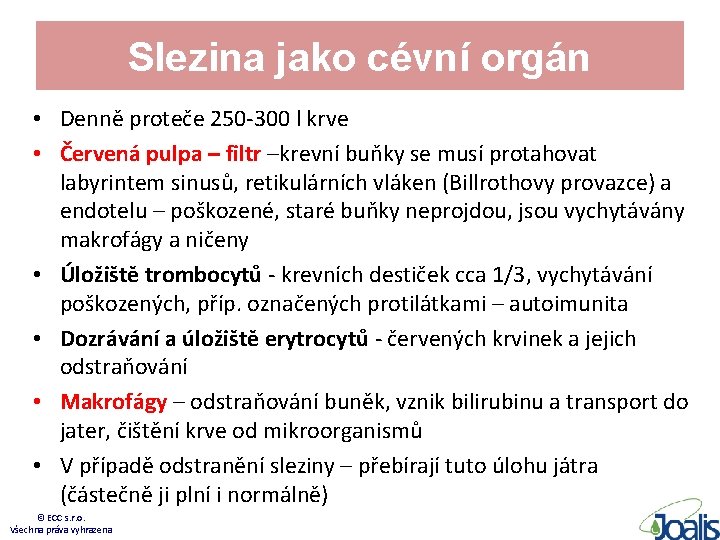 Slezina jako cévní orgán • Denně proteče 250 -300 l krve • Červená pulpa