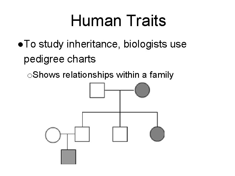 Human Traits ●To study inheritance, biologists use pedigree charts o. Shows relationships within a