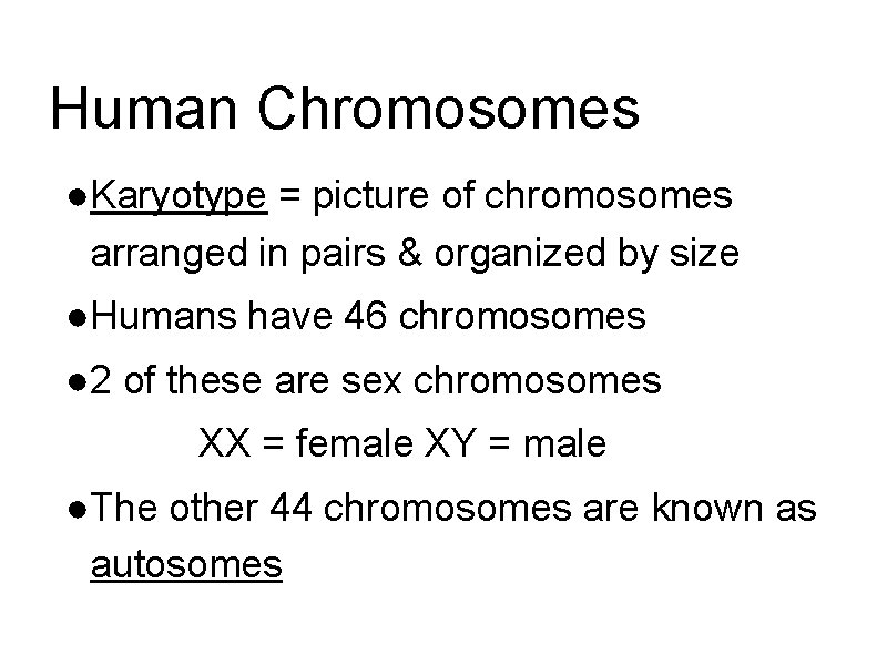 Human Chromosomes ●Karyotype = picture of chromosomes arranged in pairs & organized by size