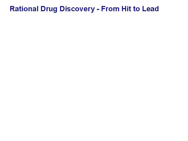 Rational Drug Discovery - From Hit to Lead 