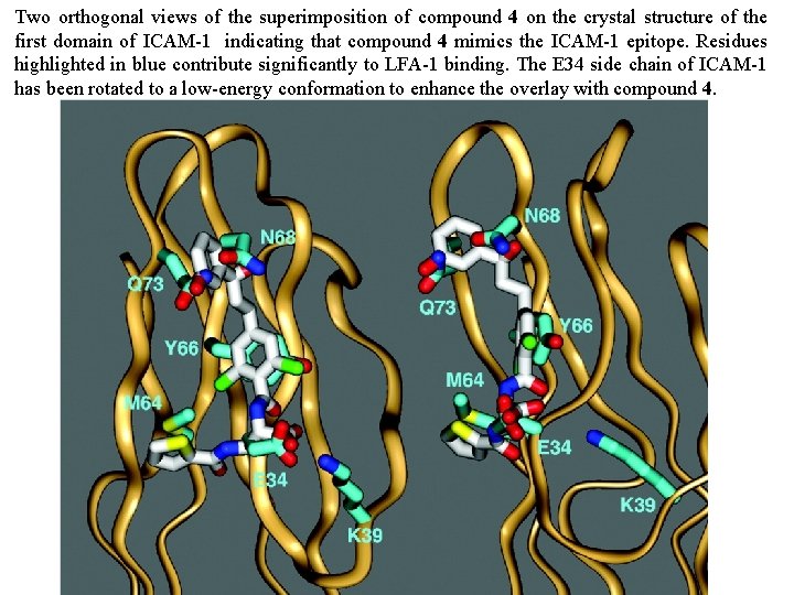 Two orthogonal views of the superimposition of compound 4 on the crystal structure of