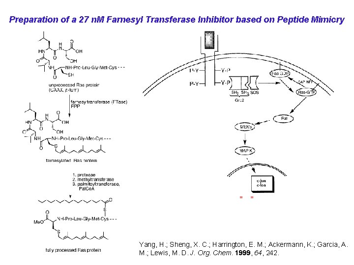Preparation of a 27 n. M Farnesyl Transferase Inhibitor based on Peptide Mimicry Yang,