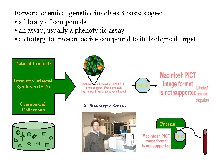 Forward chemical genetics involves 3 basic stages: • a library of compounds • an