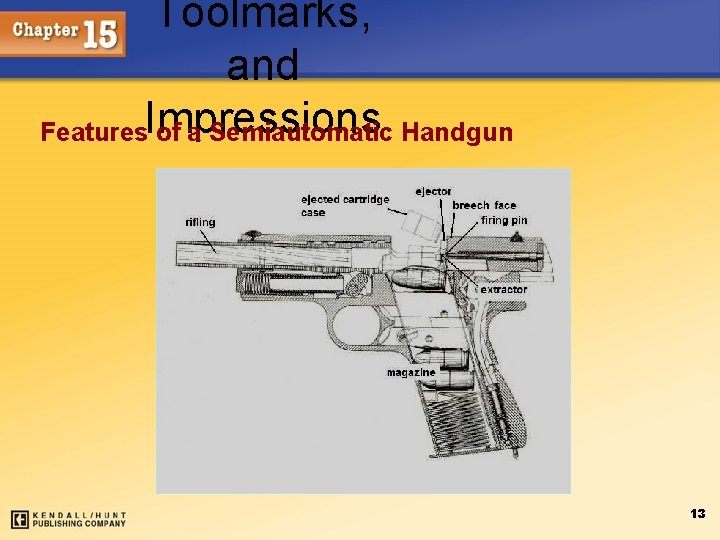 Toolmarks, and Features. Impressions of a Semiautomatic Handgun 13 