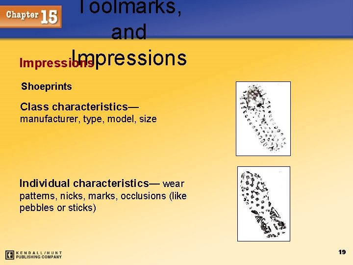 Toolmarks, and Impressions Shoeprints Class characteristics— manufacturer, type, model, size Individual characteristics— wear patterns,