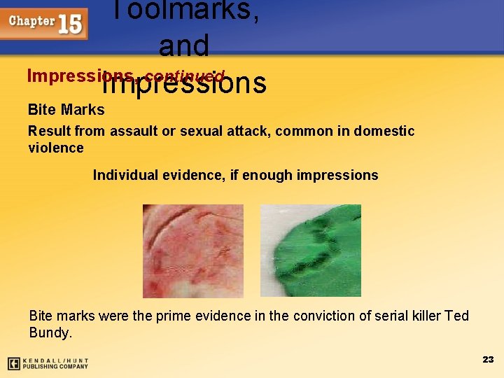 Toolmarks, and Impressions, continued Impressions Bite Marks Result from assault or sexual attack, common