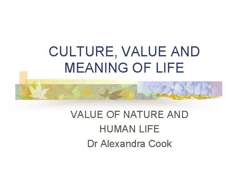 CULTURE, VALUE AND MEANING OF LIFE VALUE OF NATURE AND HUMAN LIFE Dr Alexandra