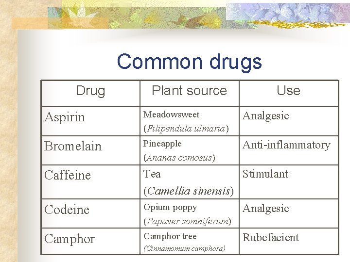 Common drugs Drug Plant source Use Aspirin Meadowsweet (Filipendula ulmaria) Analgesic Bromelain Pineapple (Ananas