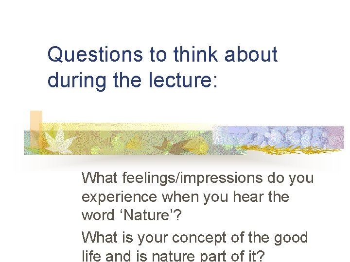 Questions to think about during the lecture: What feelings/impressions do you experience when you