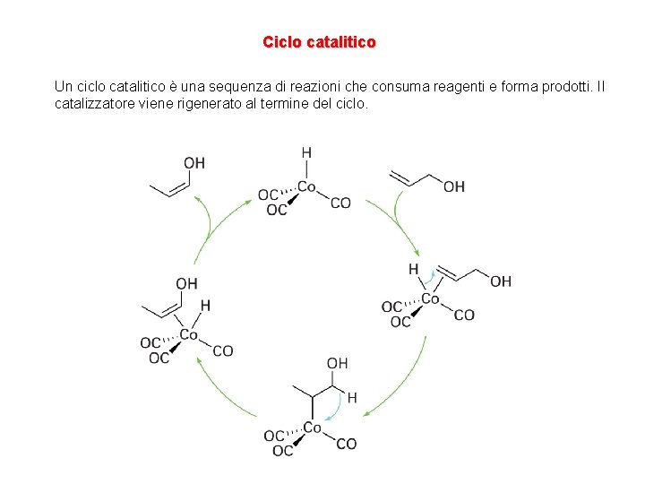 Ciclo catalitico Un ciclo catalitico è una sequenza di reazioni che consuma reagenti e