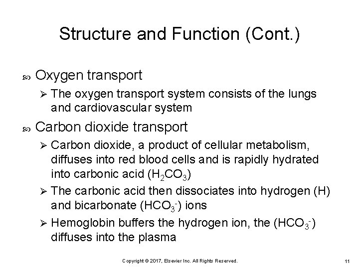 Structure and Function (Cont. ) Oxygen transport Ø The oxygen transport system consists of