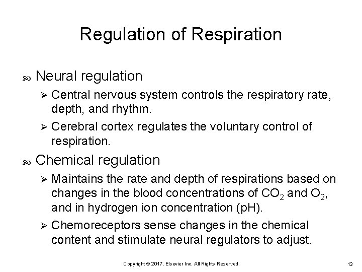 Regulation of Respiration Neural regulation Central nervous system controls the respiratory rate, depth, and