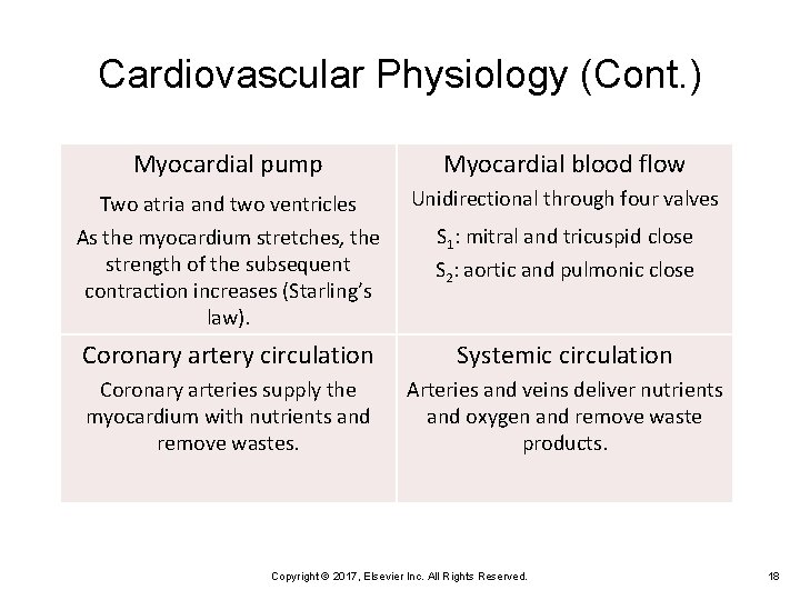 Cardiovascular Physiology (Cont. ) Myocardial pump Myocardial blood flow Two atria and two ventricles