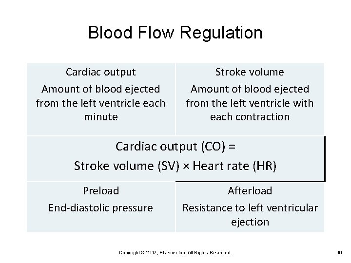 Blood Flow Regulation Cardiac output Amount of blood ejected from the left ventricle each