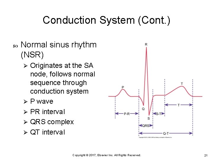 Conduction System (Cont. ) Normal sinus rhythm (NSR) Originates at the SA node, follows