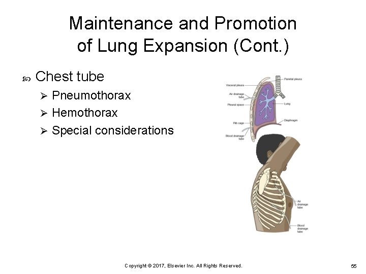 Maintenance and Promotion of Lung Expansion (Cont. ) Chest tube Pneumothorax Ø Hemothorax Ø