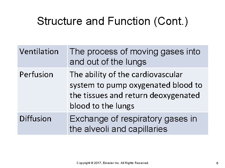 Structure and Function (Cont. ) Ventilation Perfusion Diffusion The process of moving gases into